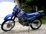 Avatar do usuário